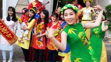 Traditional Vietnam clothing Áo dài