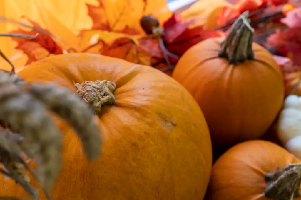 Autumn Celebrations A Time of Harvest and Reflection