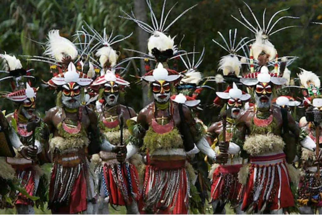 Birds appear in folk costumes