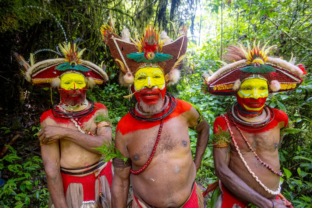 Huli Wigmen Tribal Costume