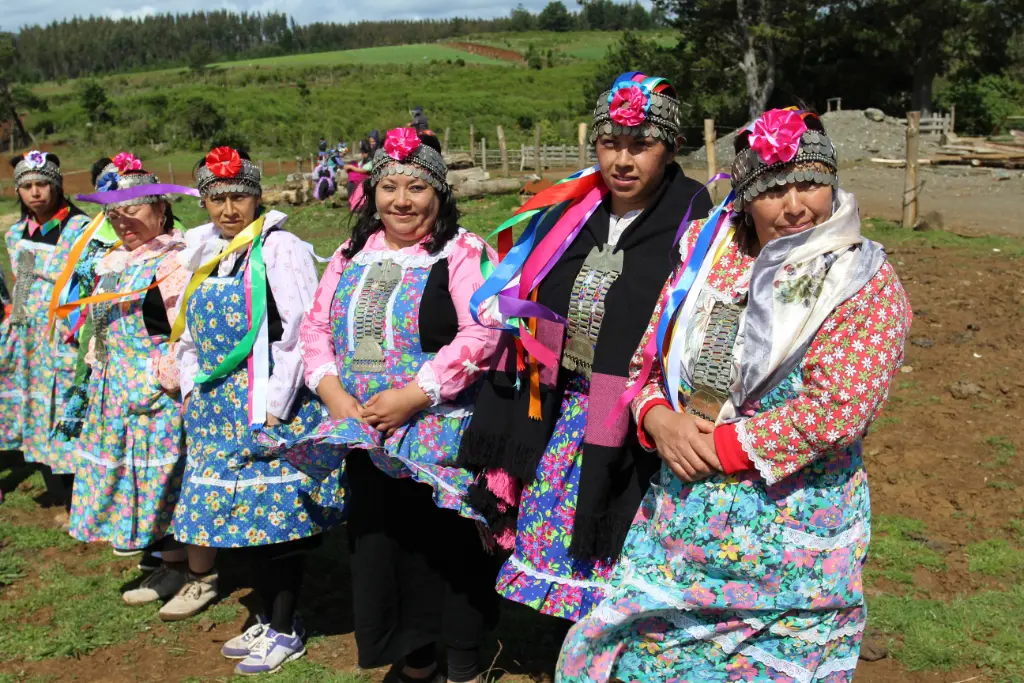 Indigenous Mapuche