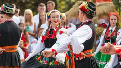 Nature-Inspired Motifs in Folk Costumes