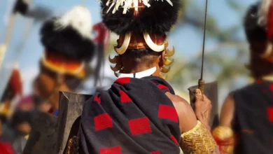 Ritual Symbols in Folk Costumes