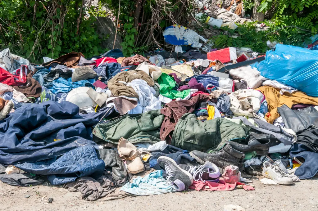 Understanding the Problem The Environmental Impact of Fast Fashion